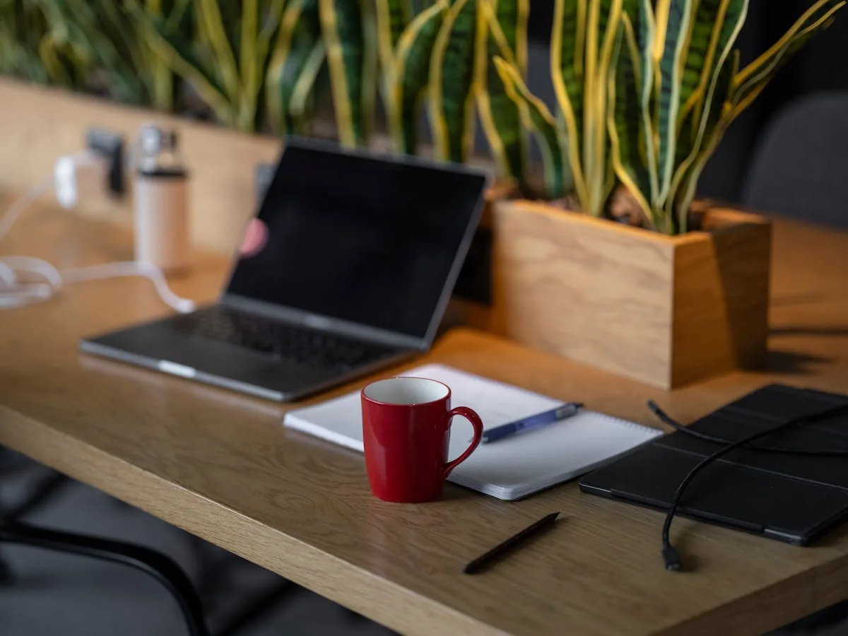 Sự thật về nghề reviewer mà Vinh Vật Vờ không ngại nói thẳng